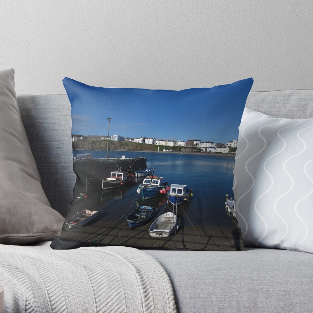 Port Erin Throw Pillow