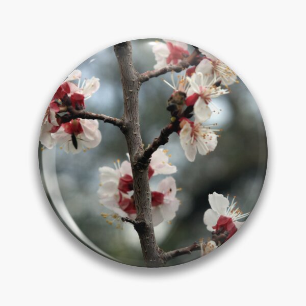 Item preview, Flowers of an Appricot tree designed and sold by LuminusProject.