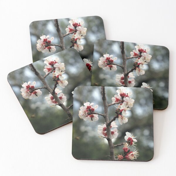Item preview, Flowers of an Appricot tree designed and sold by LuminusProject.