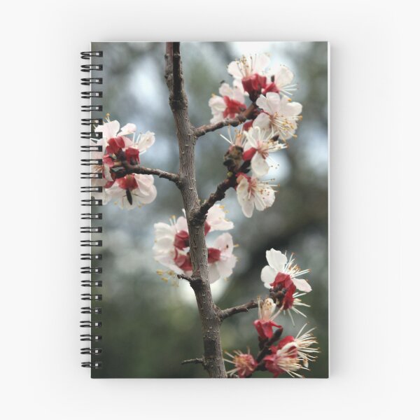 Item preview, Flowers of an Appricot tree designed and sold by LuminusProject.