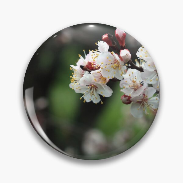 Item preview, Close up flowers of apprticot tree designed and sold by LuminusProject.