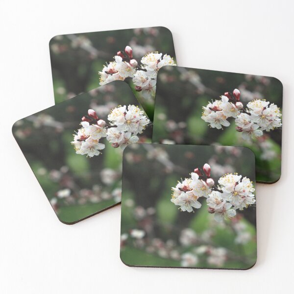 Item preview, Close up flowers of apprticot tree designed and sold by LuminusProject.