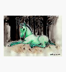 Dark Unicorn Foal Photographic Print