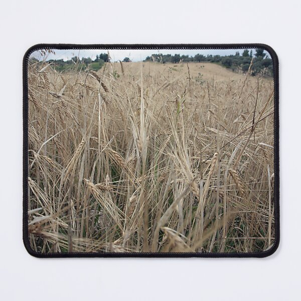 Item preview, Wheat Crops landscape in Greece designed and sold by LuminusProject.