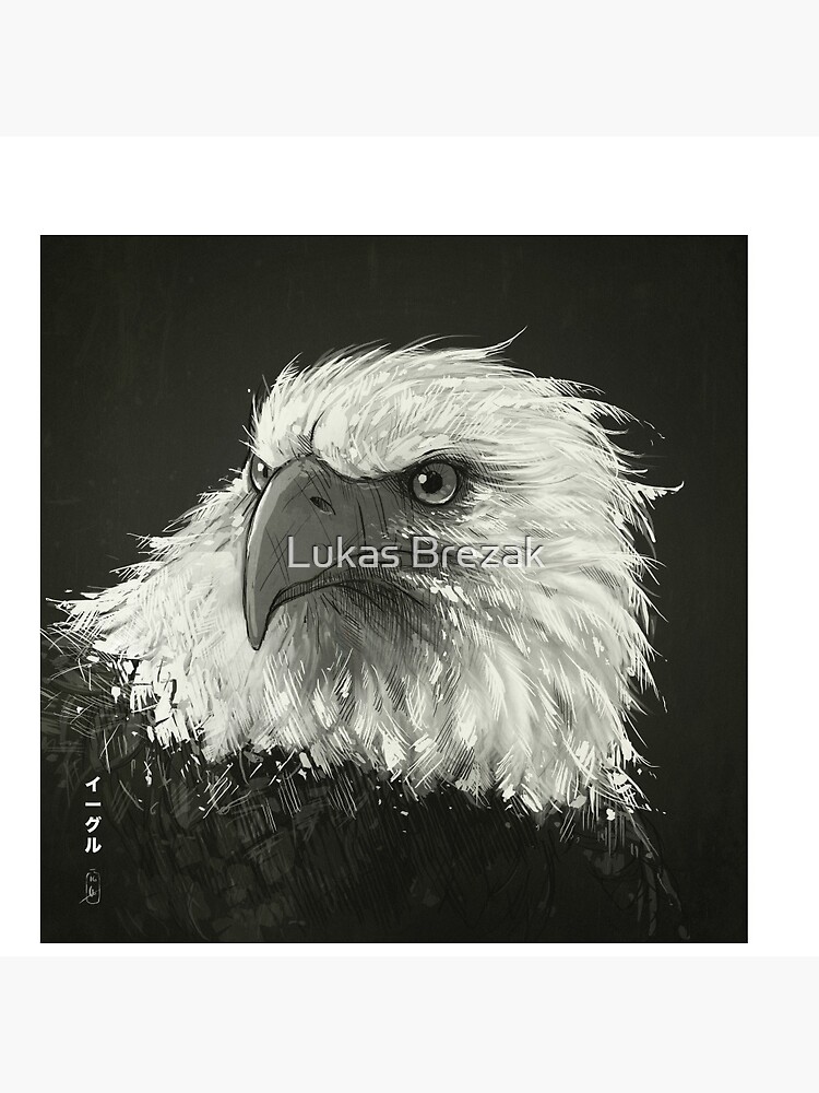 Eagle by surgeryminor