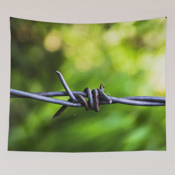 Item preview, Prickly Barbed Wire Closeup designed and sold by Steven Jodoin.