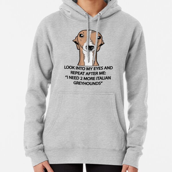 I Need 2 More Italian Greyhounds Pullover Hoodie