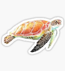 Sea Turtle Colored Pencil Art Sticker