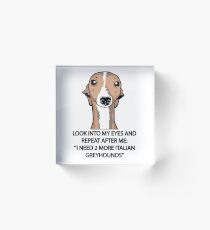 I Need 2 More Italian Greyhounds Acrylic Block