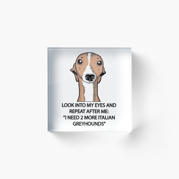 I Need 2 More Italian Greyhounds Acrylic Block