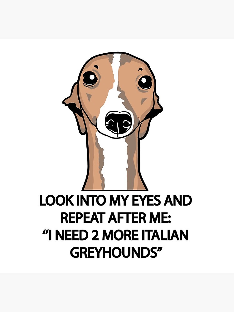 I Need 2 More Italian Greyhounds by iggysbay