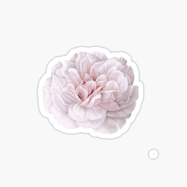 Sticker – Fleurs blanches – Minitribe