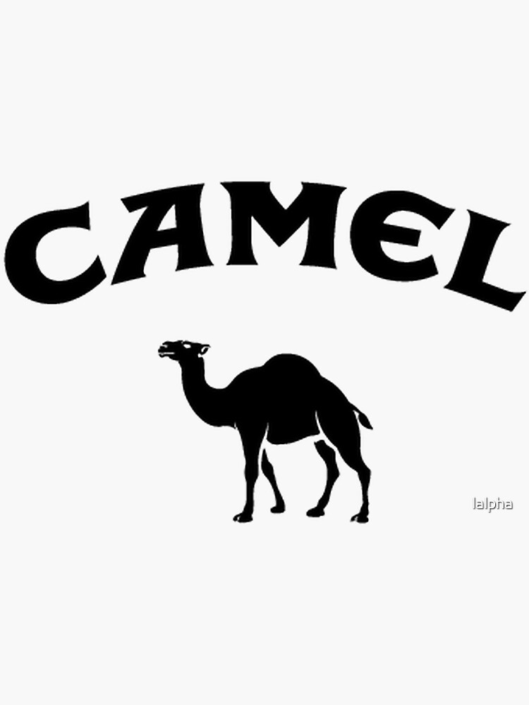 Camel Logo Creation