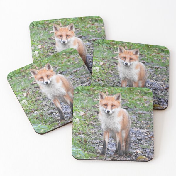 Item preview, Cute red fox on a muddy path designed and sold by TwistedClassics.