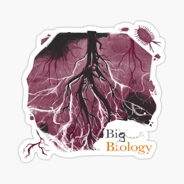 Item preview, Hidden network designed and sold by BigBiology.