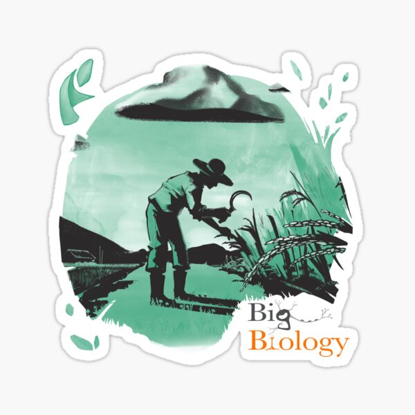 Item preview, Food for thought designed and sold by BigBiology.