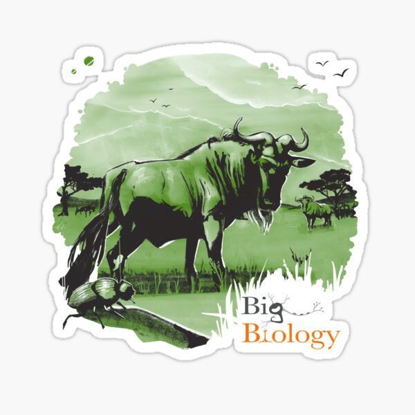 Item preview, Stability and change designed and sold by BigBiology.