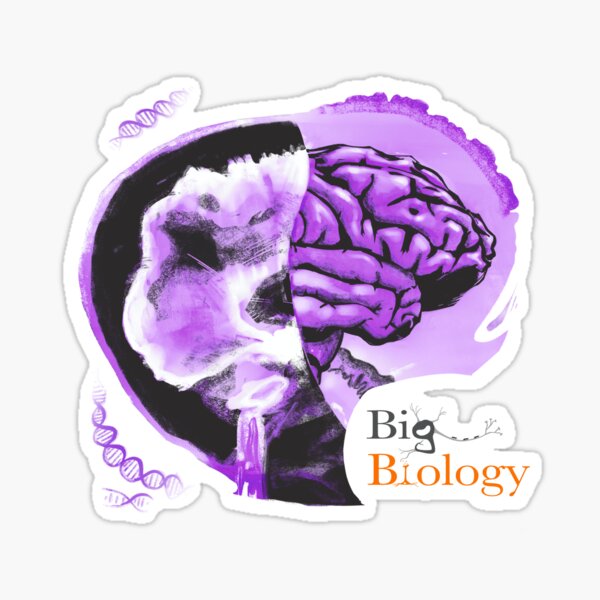 Item preview, Tattoo on the brain designed and sold by BigBiology.