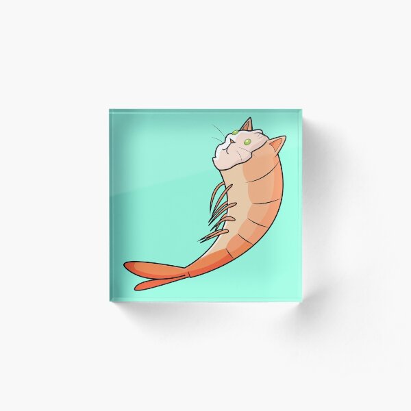 Shrimp Cat Acrylic Block