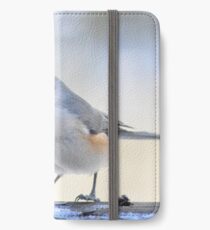 Winter guest iPhone Wallet/Case/Skin