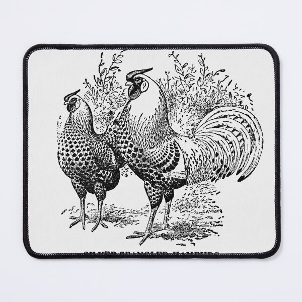 Item preview, Vintage Roosters designed and sold by SuziQPrayers427.