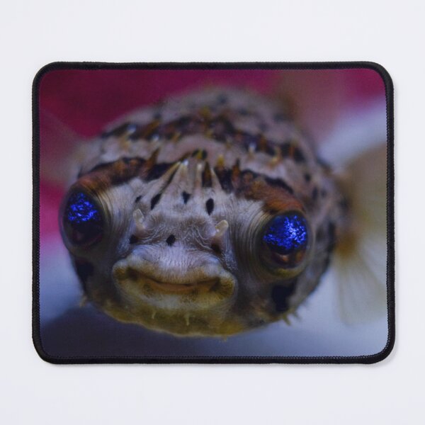 Item preview, Fish Face designed and sold by AnnoyedMouse.