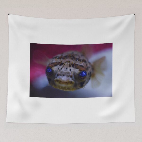 Item preview, Fish Face designed and sold by AnnoyedMouse.