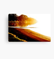 The pohutukawa and the waka Canvas Print