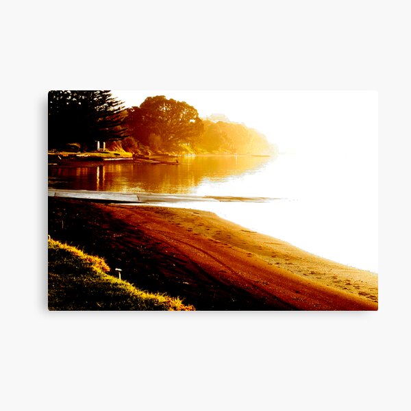 The pohutukawa and the waka Canvas Print