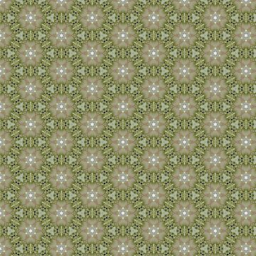 Artwork thumbnail, Orchid garden kaleidoscopic pattern 2 by Penguland