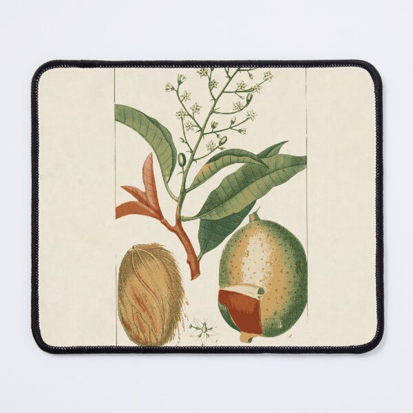 Item preview, Mango Botanical Art designed and sold by Wenkatdesigns.