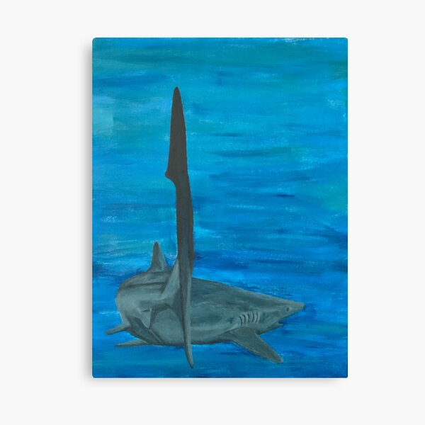 Shark Bait Canvas Prints for Sale