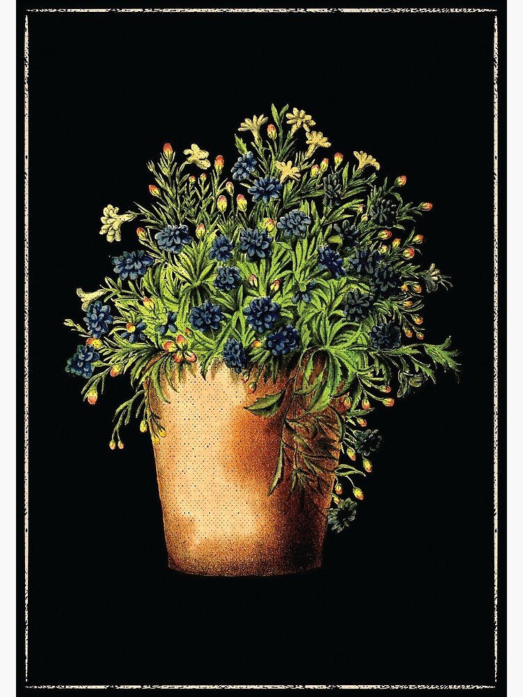 "The Potted Wildflowers Experience Colorful Artwork Vintage Plant