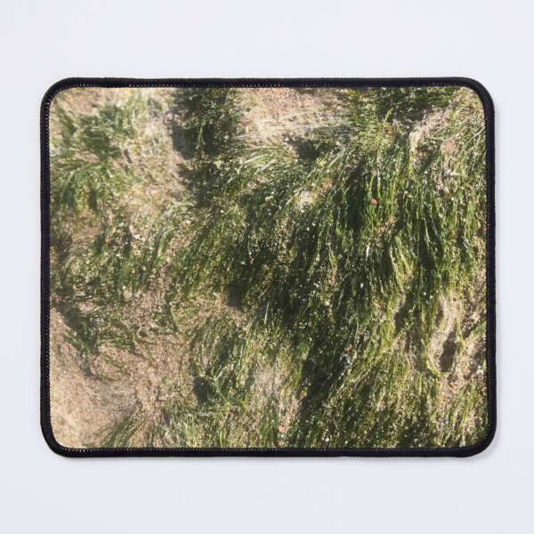 Item preview, Original Natural Spring Seaweed designed and sold by Anahit Petrosyan Art Studio & Unique Print Designs for a Gift.