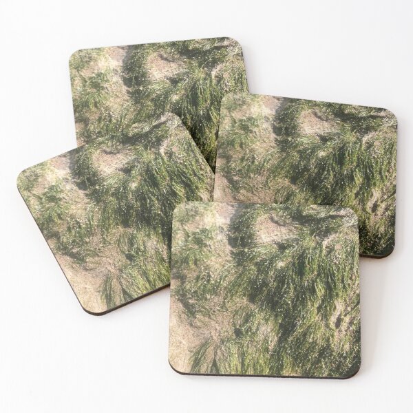 Item preview, Original Natural Spring Seaweed designed and sold by Anahit Petrosyan Art Studio & Unique Print Designs for a Gift.