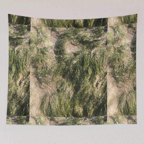 Item preview, Original Natural Spring Seaweed designed and sold by Anahit Petrosyan Art Studio & Unique Print Designs for a Gift.