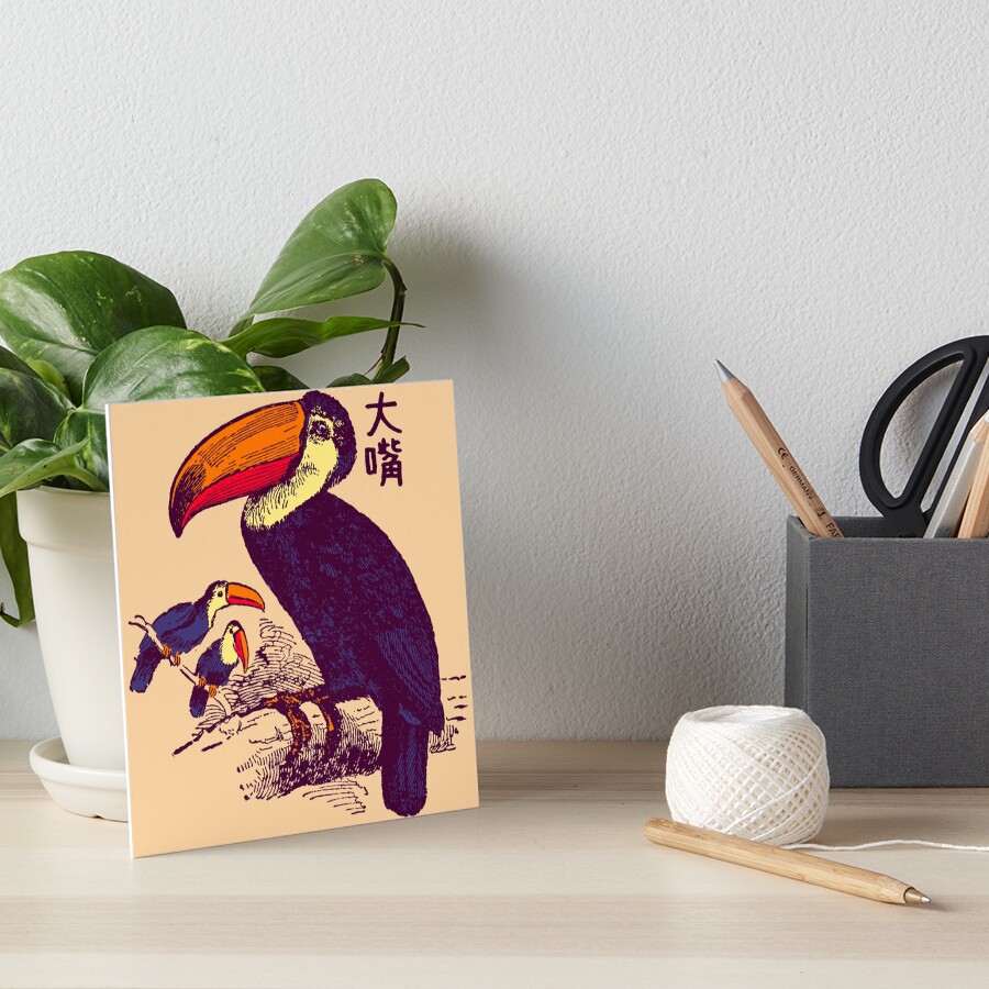 Toucan 大嘴 Bird Scientific Wildlife Japanese