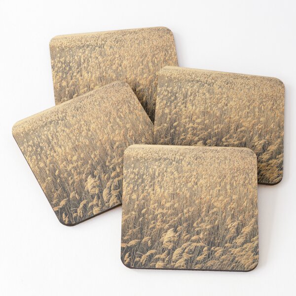 Item preview, Dry reed texture designed and sold by psychoshadow.