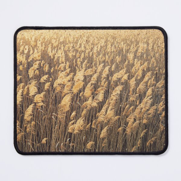 Item preview, golden bulrush designed and sold by psychoshadow.