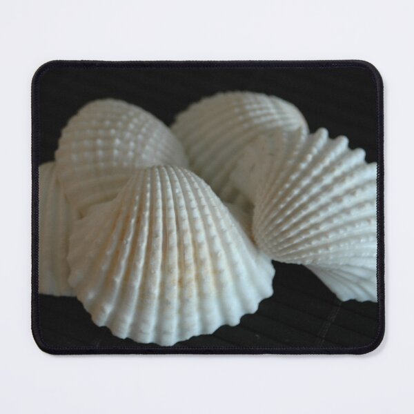 Item preview, Scalloped designed and sold by onespot.