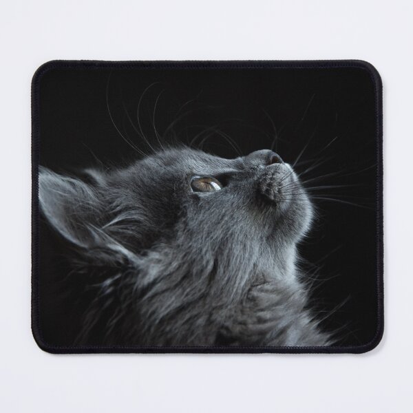 Item preview, Kitty cat love! designed and sold by SuziQPrayers427.