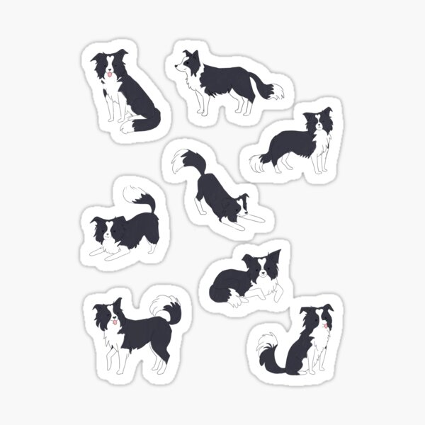 Pack de 8 autocollants pour chiens border collie mignons Sticker