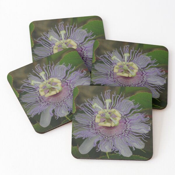 Item preview, Passion Flower designed and sold by onespot.