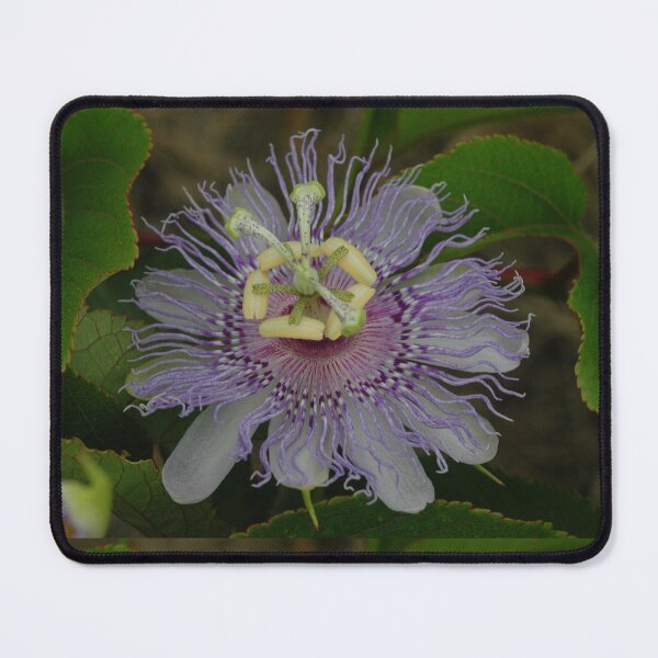 Item preview, Passion Flower designed and sold by onespot.