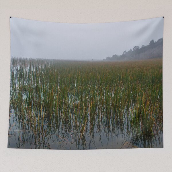 Item preview, Early foggy morning overlooking the water grasses at Lysterfield lake park designed and sold by James-Cole.