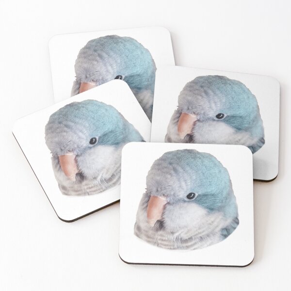 Item preview, Cute quaker parrot - blue designed and sold by BirbFriends.