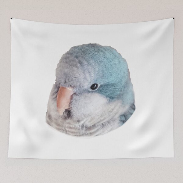 Item preview, Cute quaker parrot - blue designed and sold by BirbFriends.