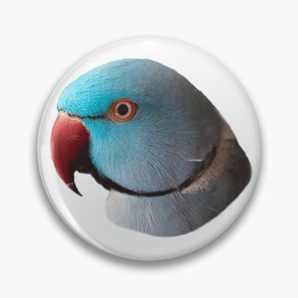 Item preview, Cute Indian Ring Neck Parrot (blue) designed and sold by BirbFriends.