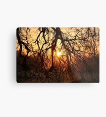 Overhang Metal Print