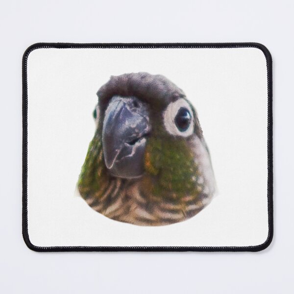Item preview, Cute Green Cheek Conure  designed and sold by BirbFriends.